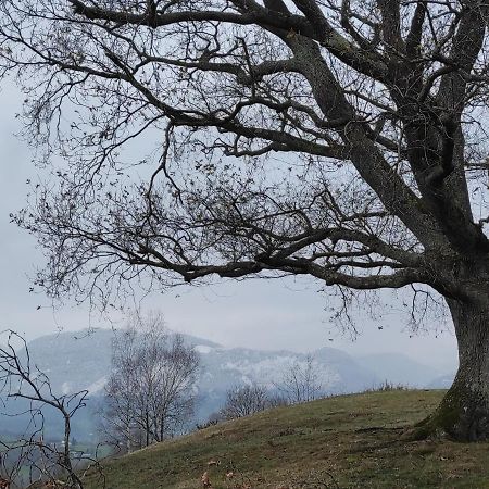 Gite Des 3 Arbres Aramits 외부 사진