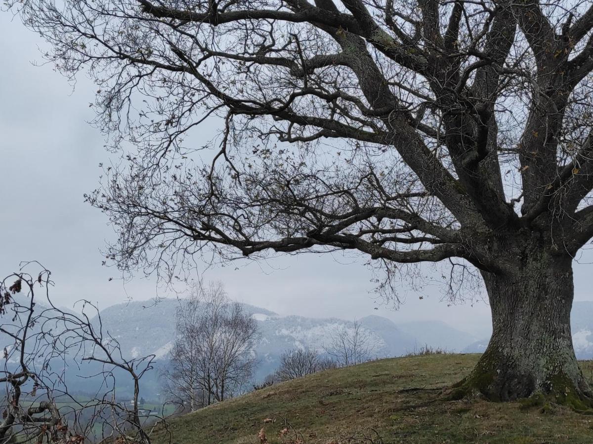 Gite Des 3 Arbres Aramits 외부 사진